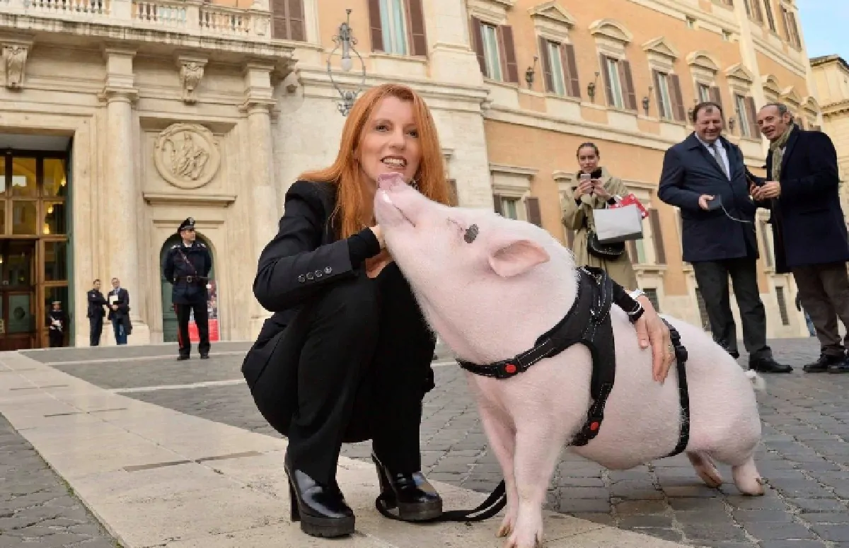 Michela Brambilla maiale a Montecitorio