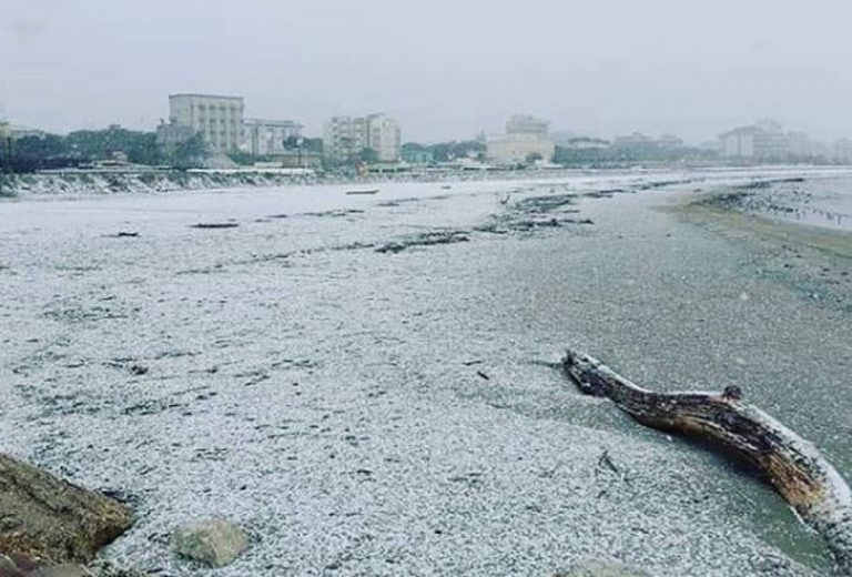 neve a milano marittima