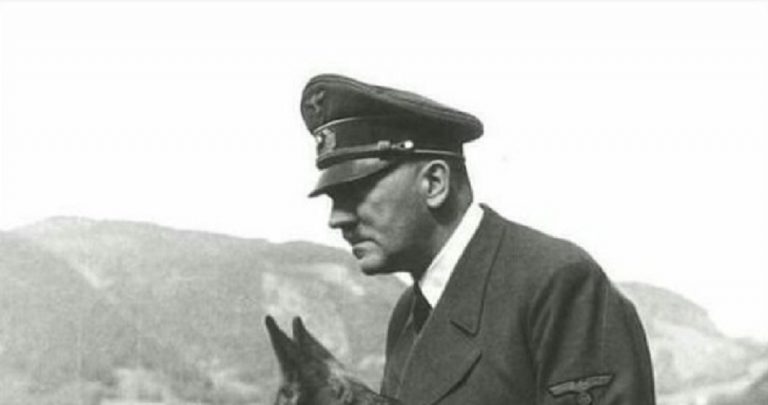 professore siena hitler