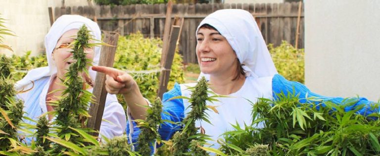 Sorelle Marijuana