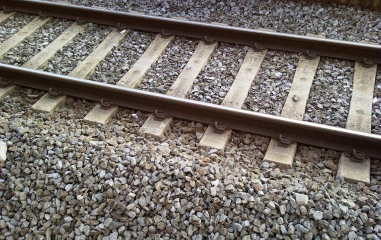 treno investe animale