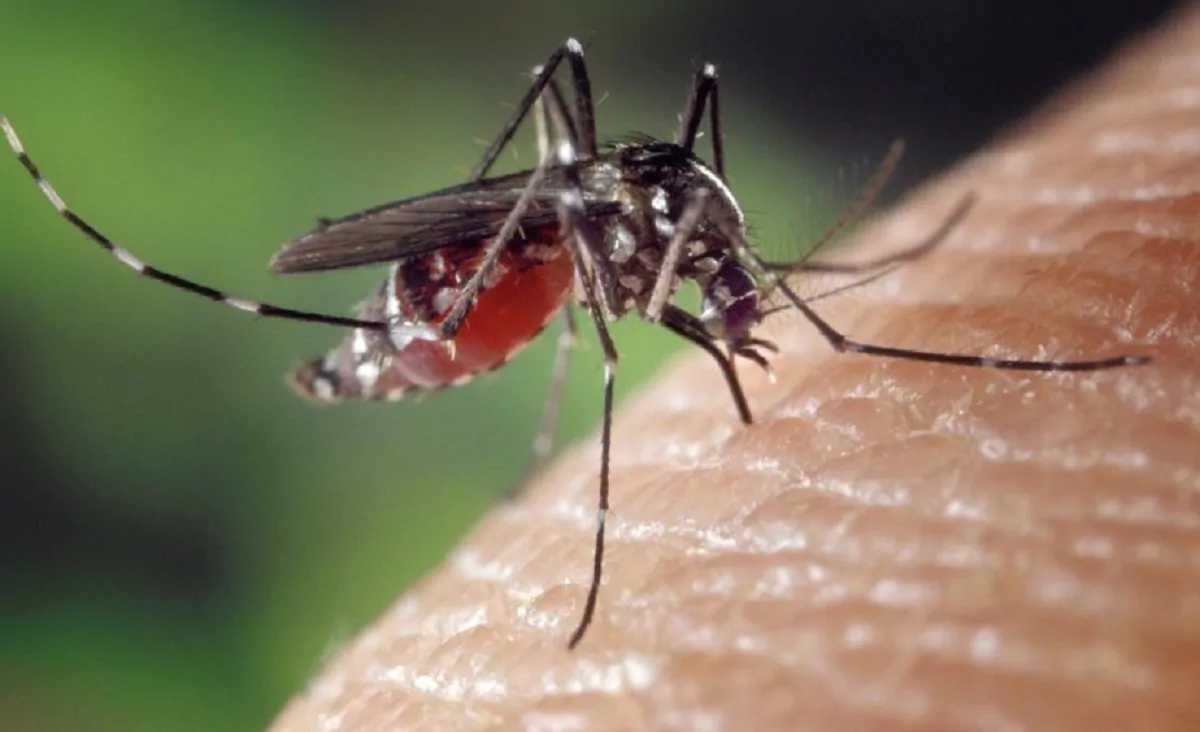 uccide zanzare uganda