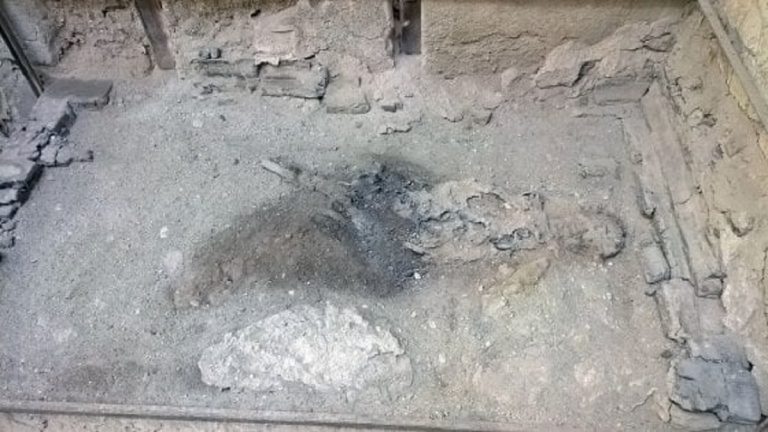 cervello vetrificato a ercolano 768x432