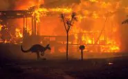 emergenza incendi australia