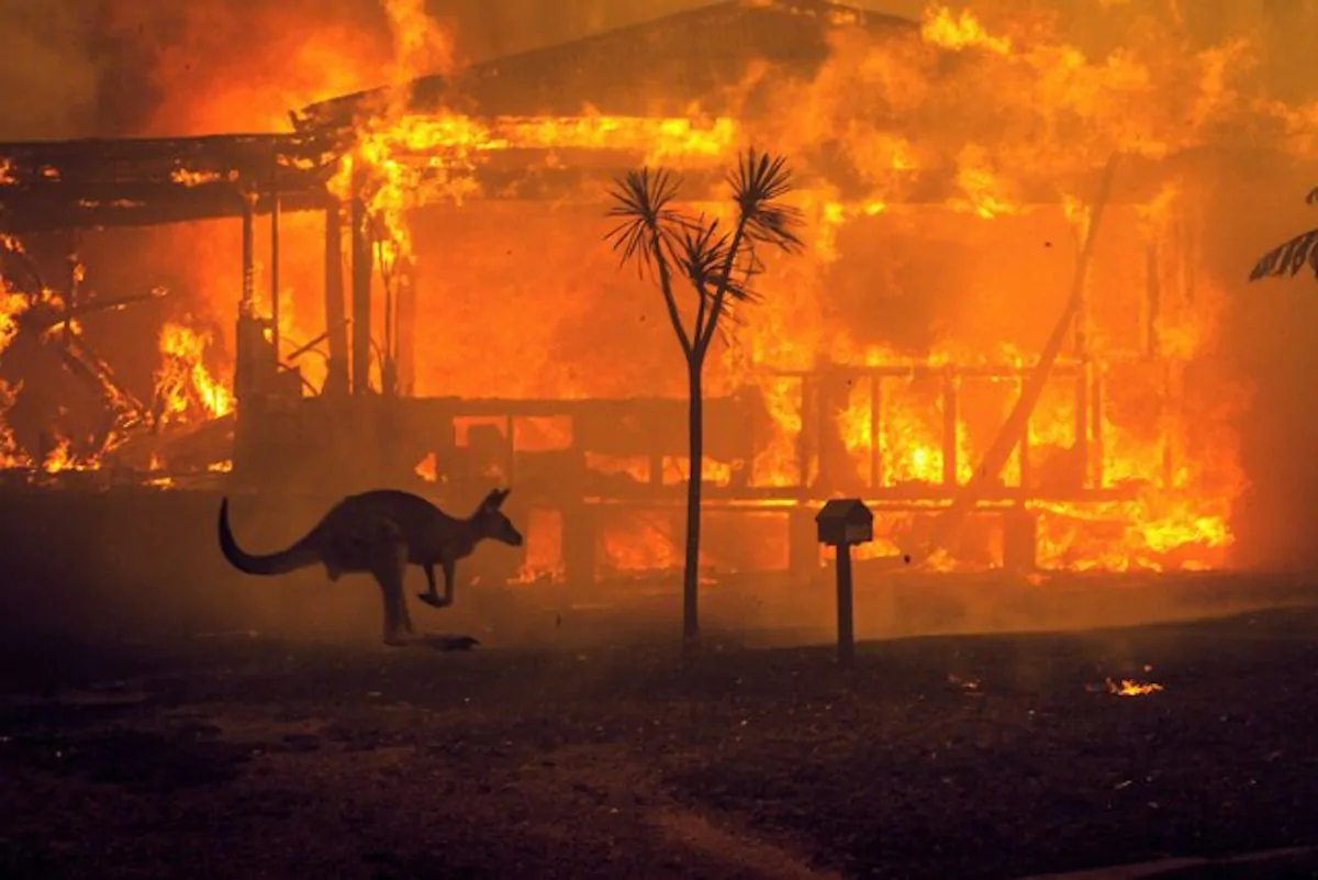 emergenza incendi australia