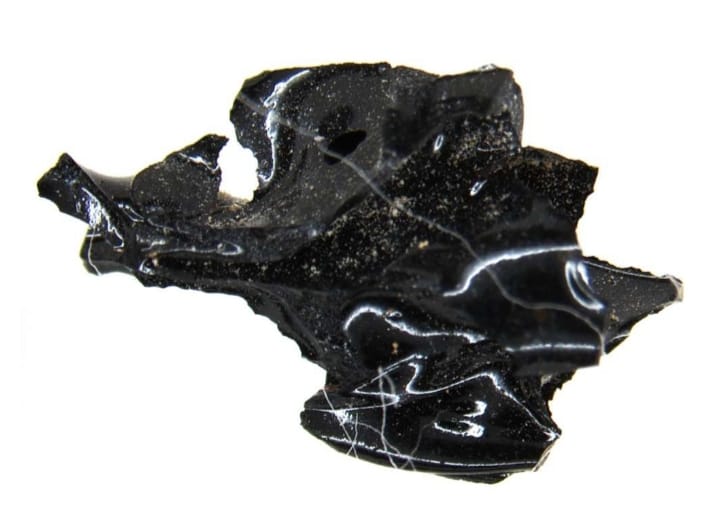 il cervello vetrificato di ercolano