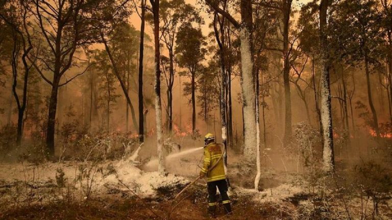 incendi australia