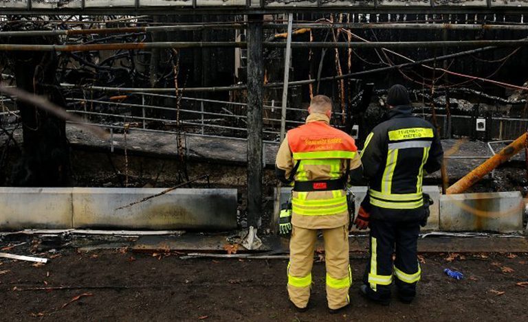 incendio-zoo-germania