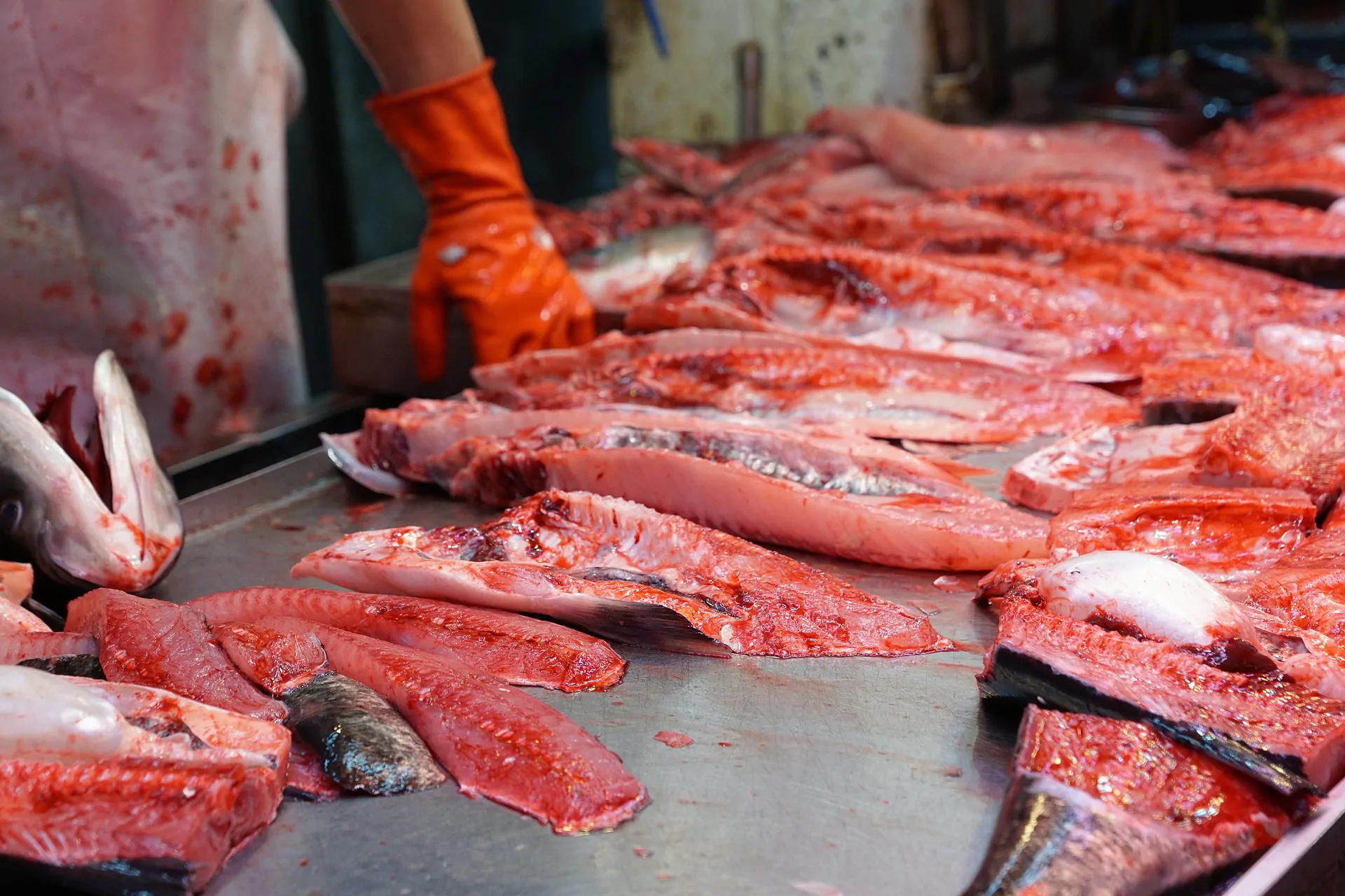 Coronavirus, il mercato del pesce e il rischio contagio in vista del capodanno cinese.