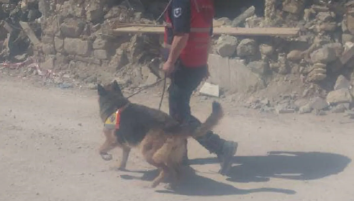 Morto il cane eroe di Amatrice