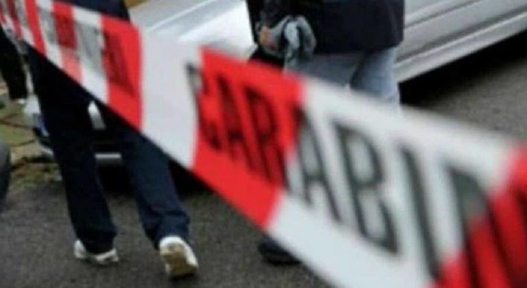 madre uccide figlio pallanzeno
