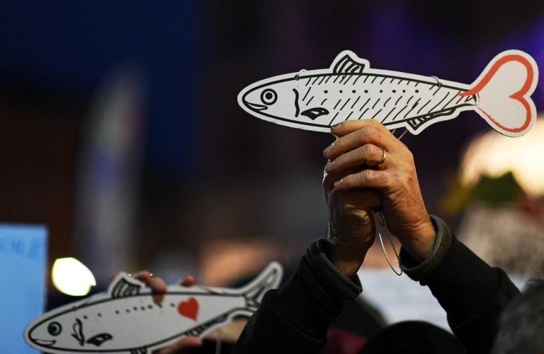 sardine a bologna