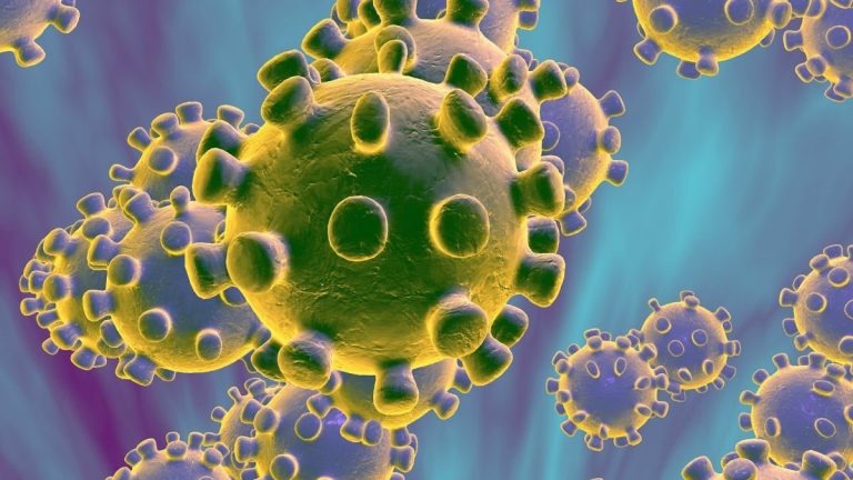 virus cina sintomi come si trasmette