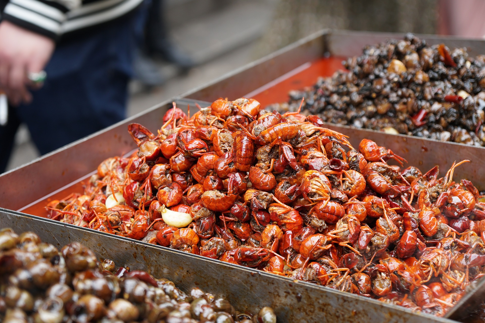 Mercato del pesce di Wuhan