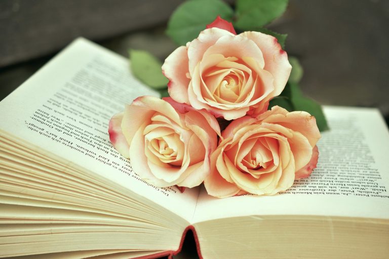 book san valentino