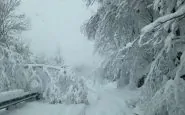 bufera di neve alaska