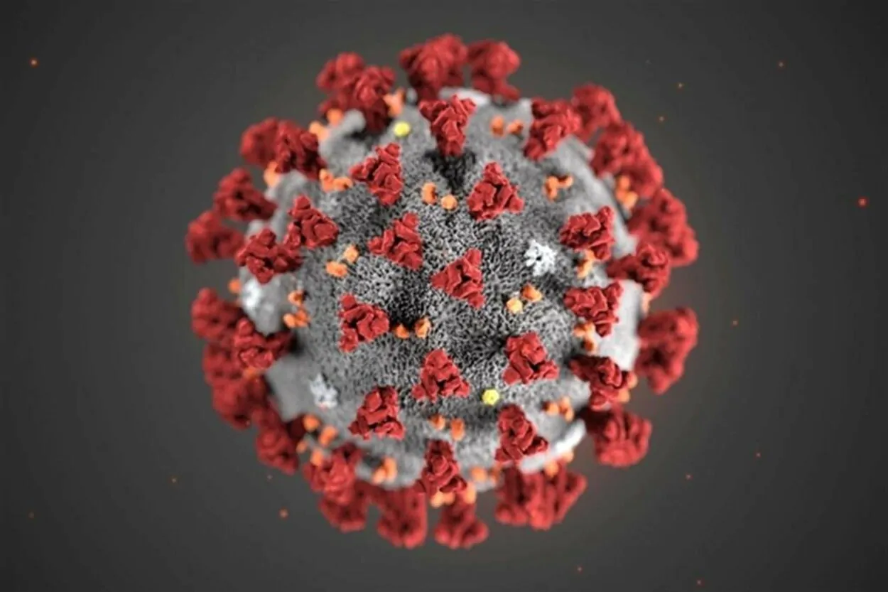 coronavirus