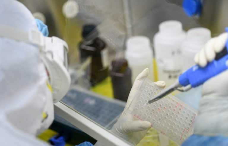 coronavirus sperimentazione animale vaccino