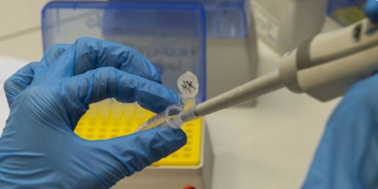 coronavirus bambino 172 persone