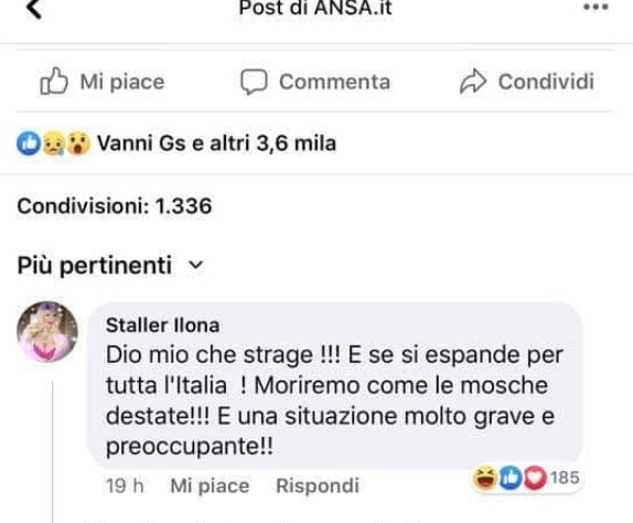 IlonaStaller