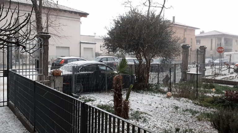 maltmpo pesaro