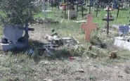 vedova rapinata cimitero