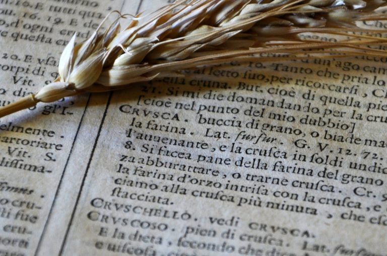 Accademia della Crusca: storia, sede e vocabolario