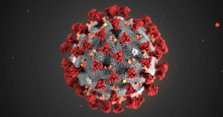 coronavirus 4 1 768x403