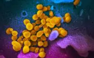 coronavirus contagio feci urine