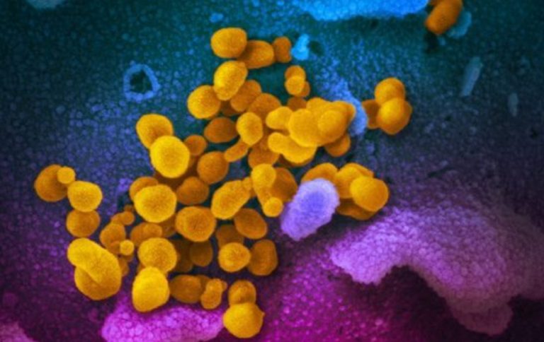 coronavirus contagio feci urine