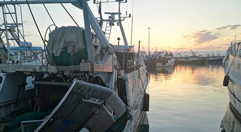 coronavirus, i danni su pesca e agricoltura