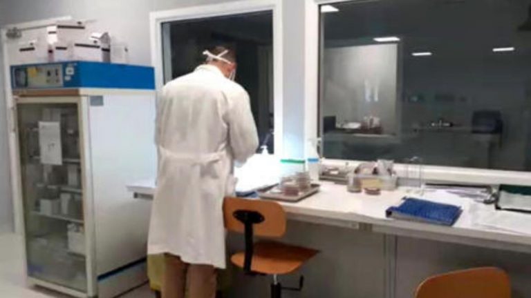 coronavirus medici 768x432