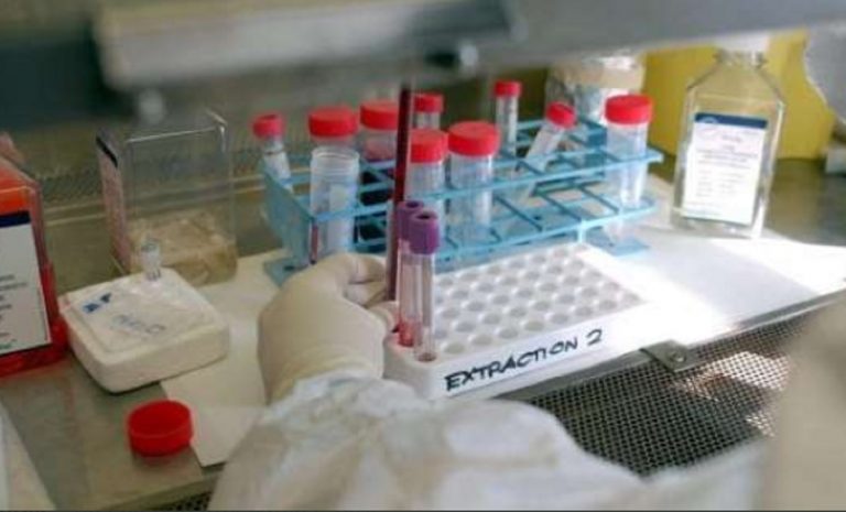 coronavirus origine naturale