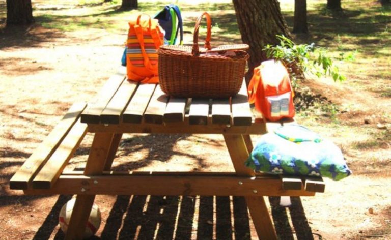 coronavirus picnic
