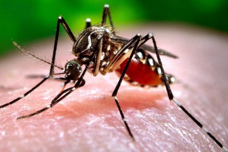 coronavirus rischio