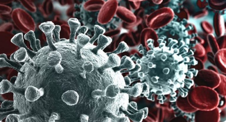 Coronavirus superfici