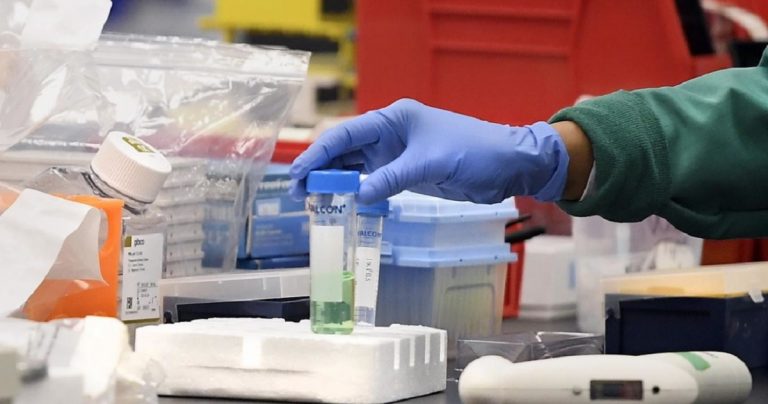 coronavirus uomini donne