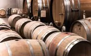 Industria vinicola