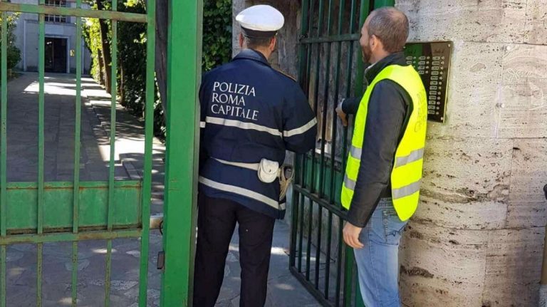 vigili 1 768x431
