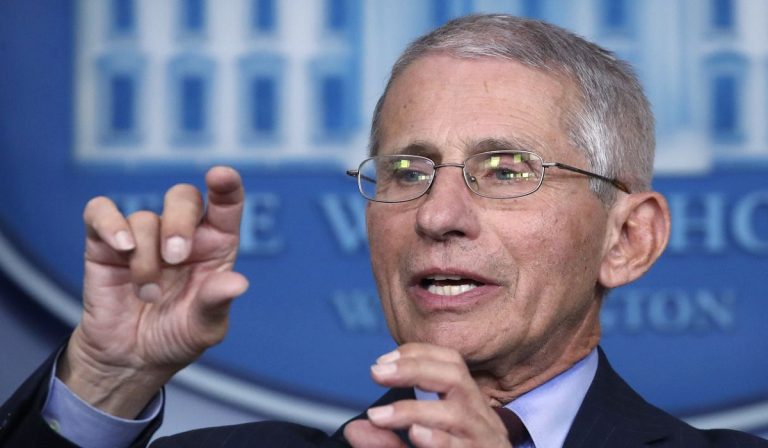 Coronavirus, l'immunologo Fauci parla a Fox News