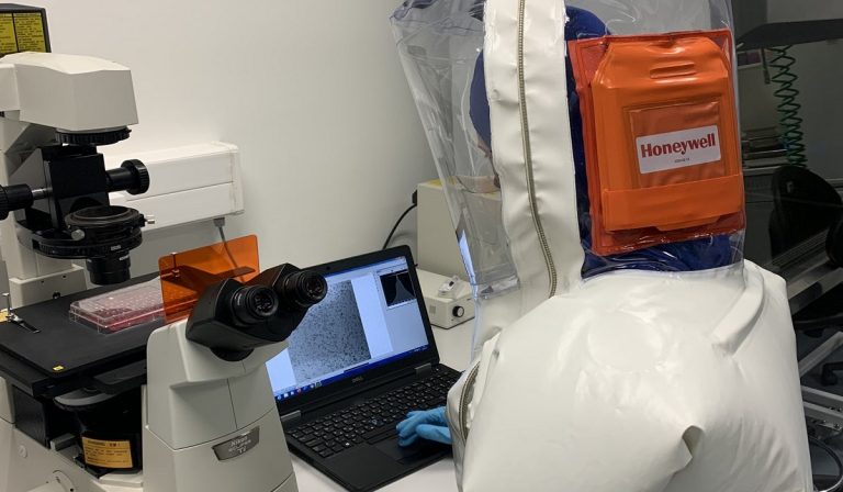 Coronavirus, la Cina scopre il motore della pandemia