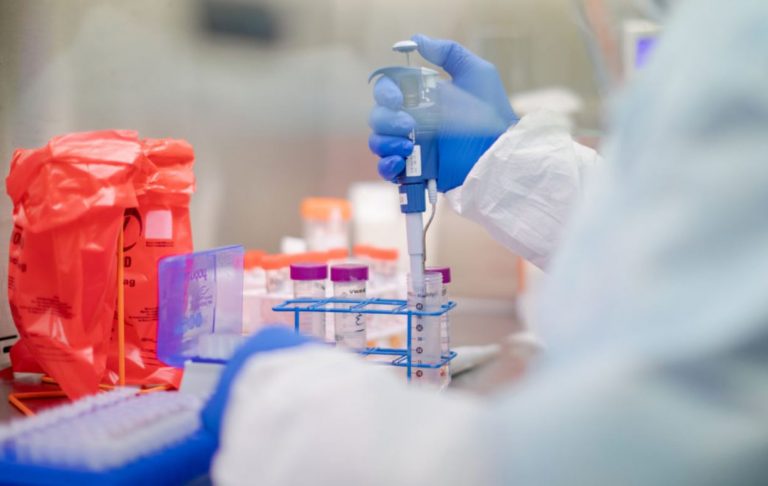 coronavirus a quanti gradi muore