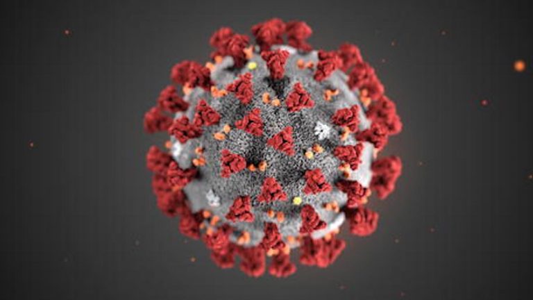 Il coronavirus