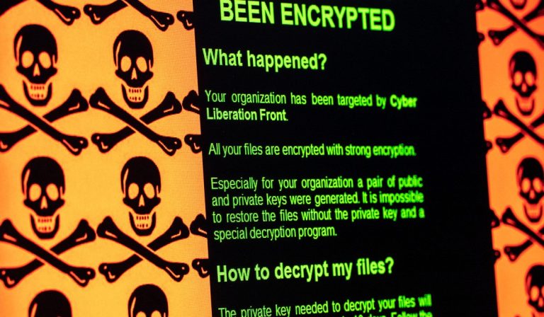 Coronavirus, Interpol avverte di attacchi hacker