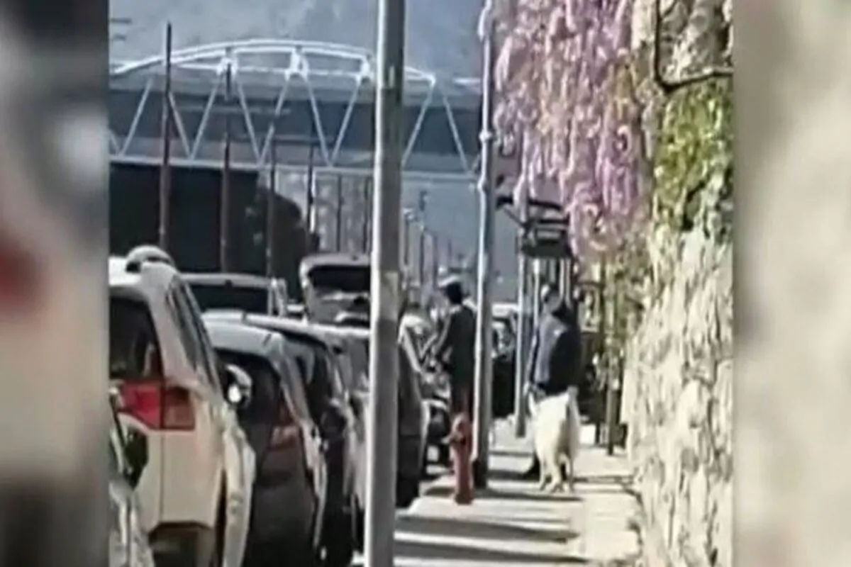 Coronavirus, Palermo walking with the sheep on a leash