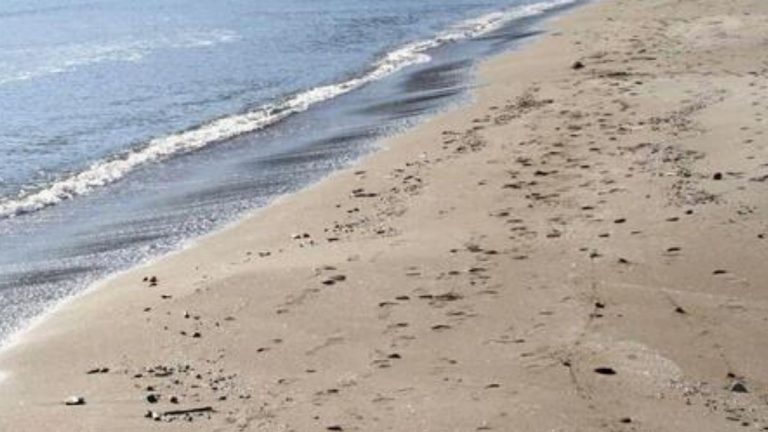 spiaggia coronavirus