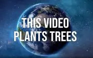 Treedom: piantare alberi da casa durante l'Earth Day 2020