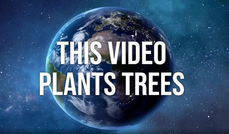 Treedom: piantare alberi da casa durante l'Earth Day 2020