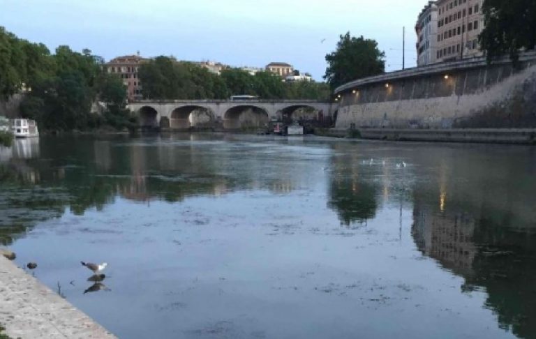 Aereo precipitato nel tevere