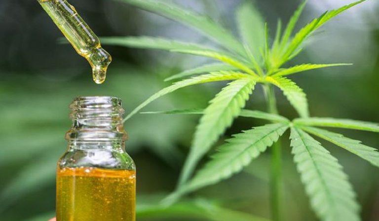 Cannabis e Covid-19, il CBD potrebbe prevenirlo